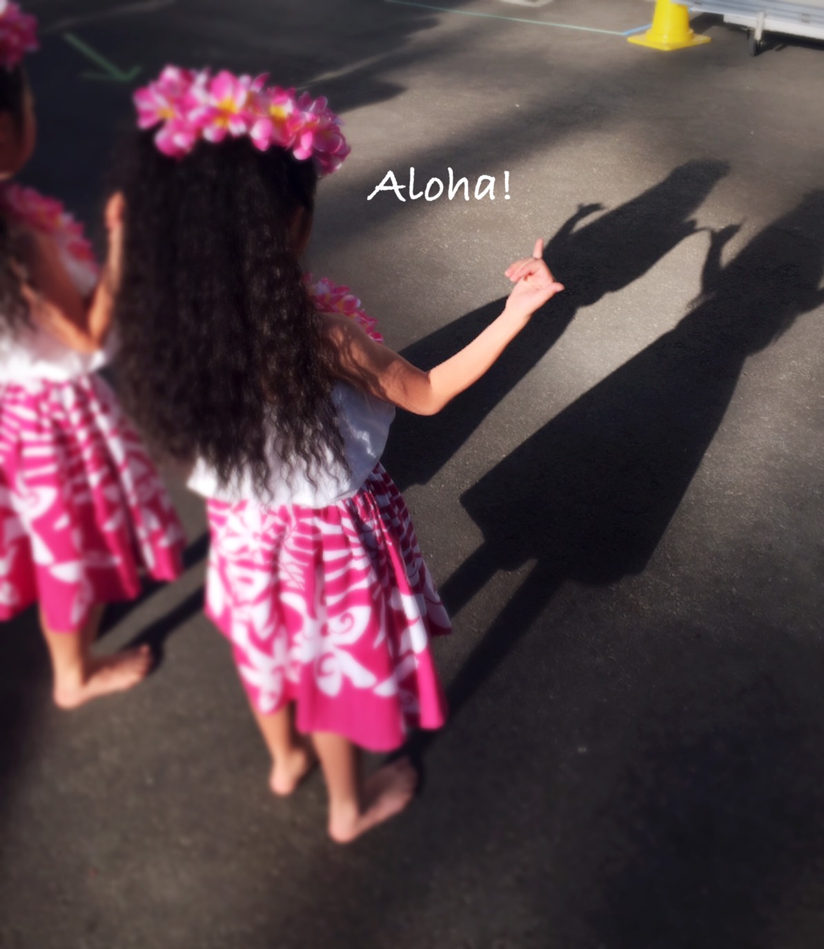 第1回Hawaiian WAI KULA Days 2017は盛況のうちにフィナレーを迎えました!