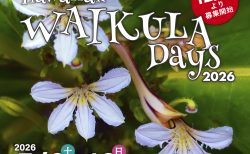 Hawaiian WAI KULA Days 2026』開催決定!&募集要項公開