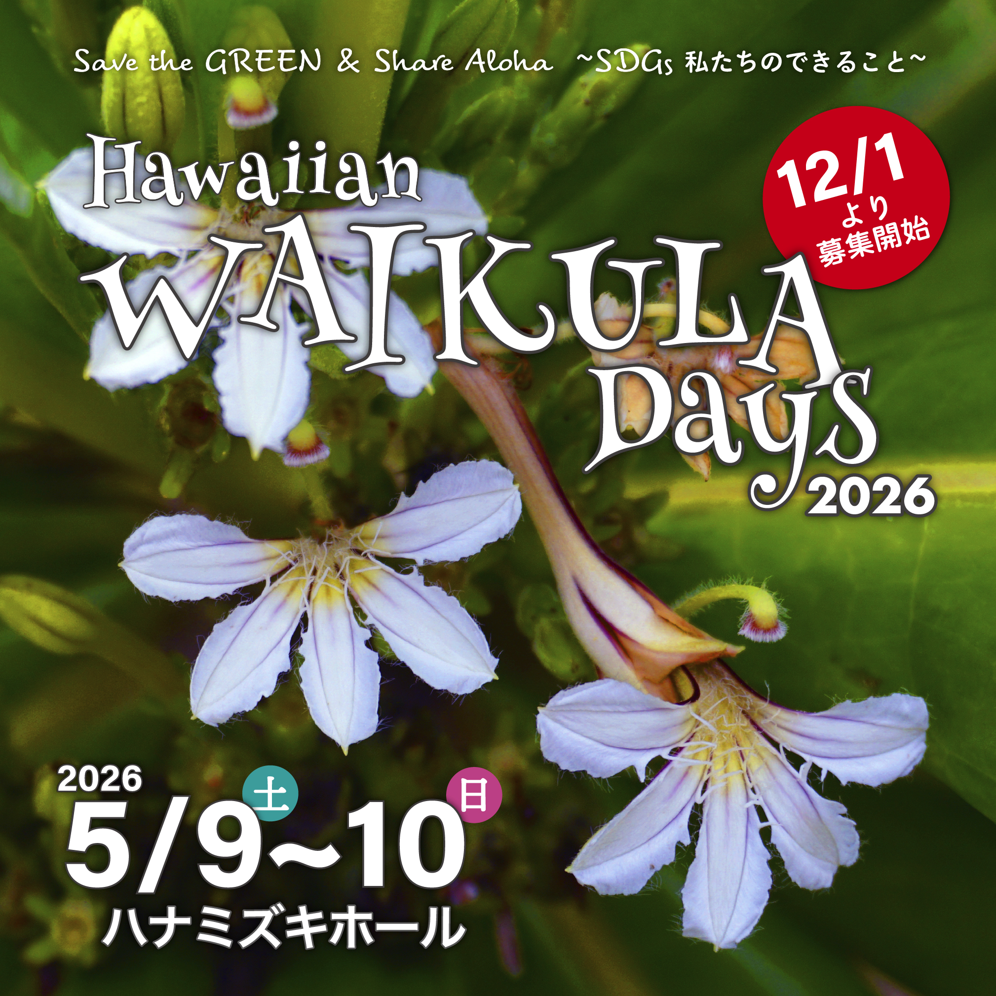 Hawaiian WAI KULA Days 2026』開催決定！＆募集要項公開